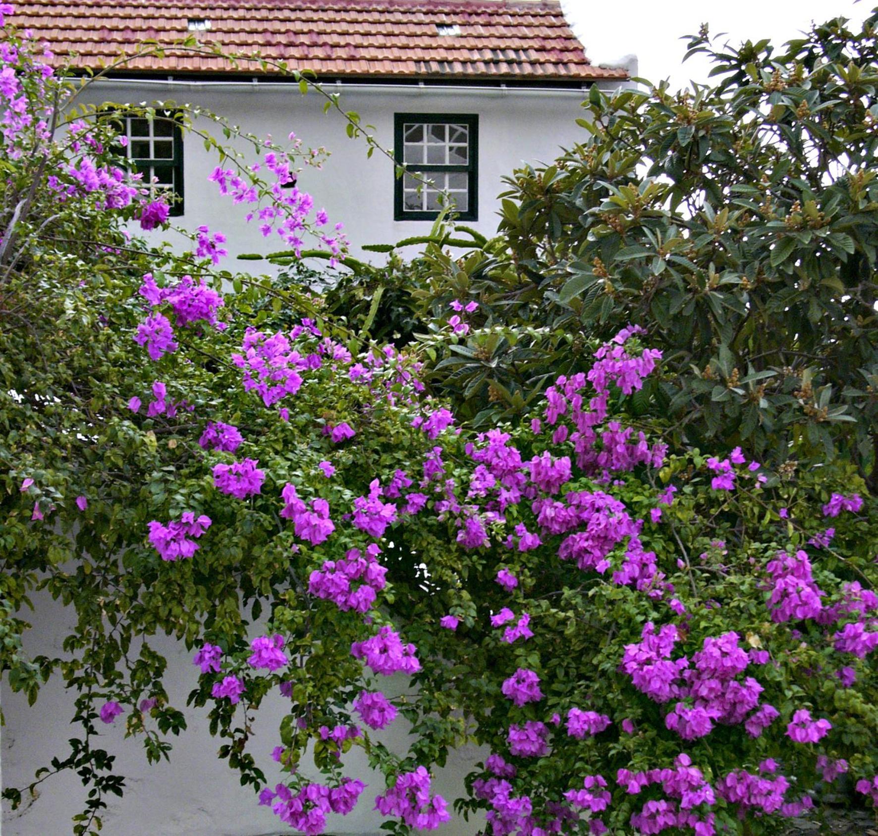 El Sitio Daire Jerez de la Jerez de la Frontera Dış mekan fotoğraf